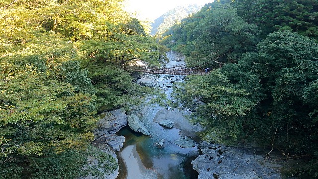 徳島、祖谷のかずら橋を離れたところから見ている