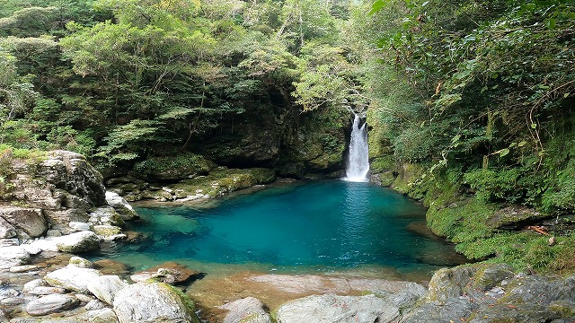 高知のにこ渕の画像